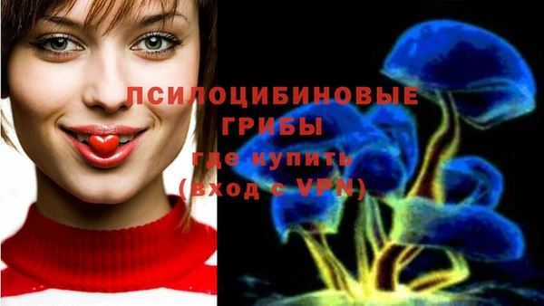 каннабис Беломорск