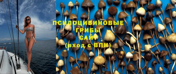 PSILOCYBIN Горняк