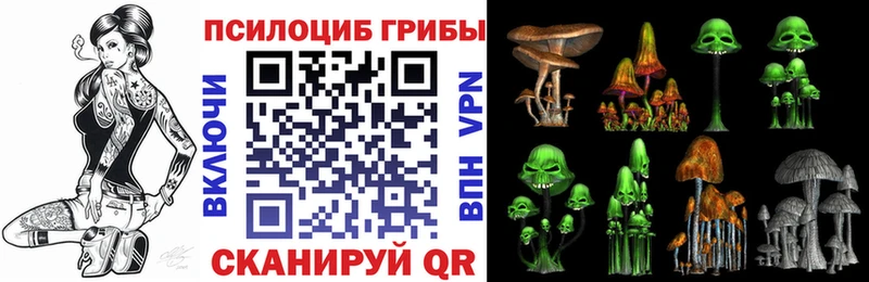 Псилоцибиновые грибы Cubensis darknet клад Верхняя Пышма даркнет сайт