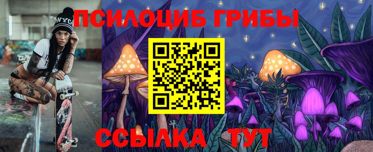 Псилоцибиновые грибы мицелий  Галлюциногенные грибы Cubensis  Верхняя Пышма  Вход с VPN 