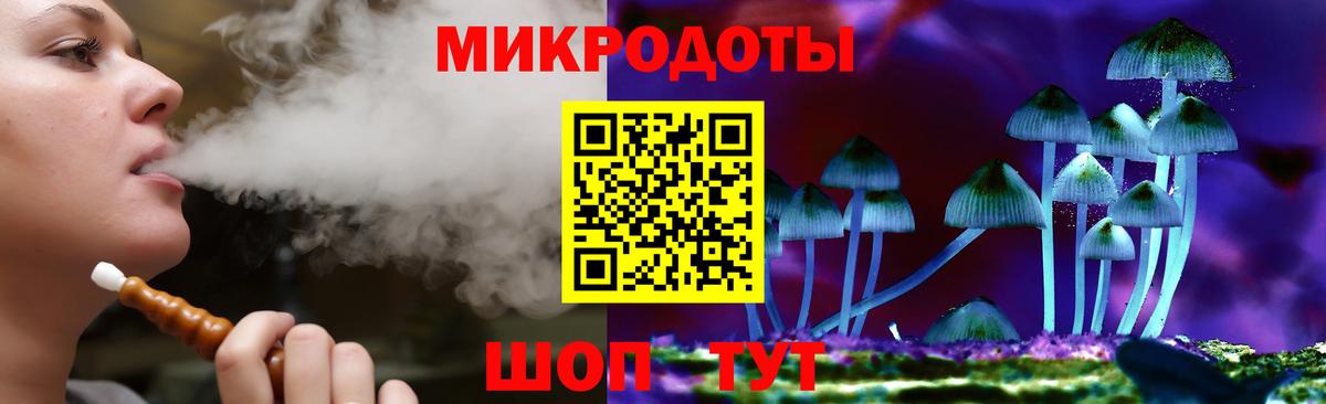 Галлюциногенные грибы Cubensis Верхняя Пышма